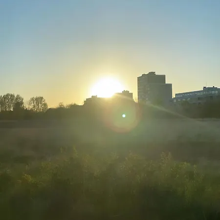 Moewenblick